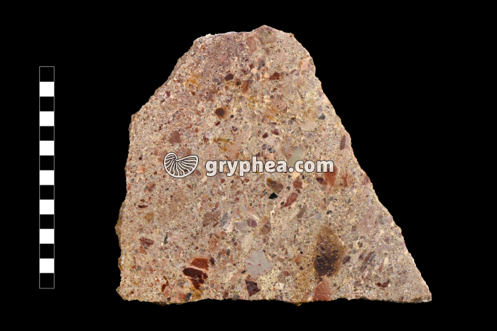 Brêche - surface polie - gryphea.org